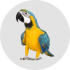 Animaux